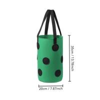 Colgante de fieltro multifuncional de 12 agujeros, tomate, fresa, éter, verduras, flores, bolsa de cultivo de plantas, jardín ETA - details 0