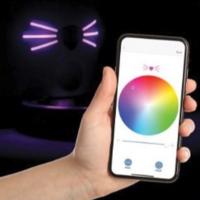 comedero gato; comedero camara gato; comedero wifi gato; comedero inteligente gato; comedero pixi
