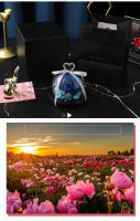 Regalo Creativo San Valentín Cumpleaños Mujeres: Rosa Eterna en Florero de Cristal para Bodas y Matrimonios - details 6