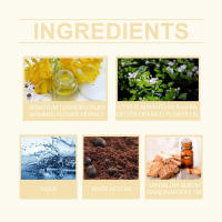Toilette, fragancia natural y fresca de sándalo con notas amaderadas profundas, eau de toilette - details 2