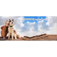 Collar antiladridos, recargable, apto para perros pequeños y medianos, equipado con 5 sensibilidades estables - details 8