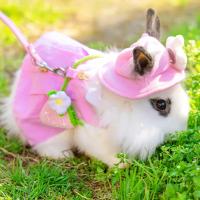 Accesorios de Traje para Mascota de Conejo Correa al Aire Libre con Bolsa y Gorro - details 2