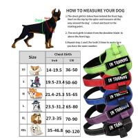 Arnés de control Chaleco de alto servicio, collar acolchado con parches extraíbles, terapia emocional EA para perros, NO PET XXL XL L M - details 0