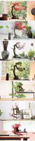 Jardín de hadas de montaña en miniatura de piedra, bonsái, Rocalla, Zen, paisaje, adorno, acuario, pecera, accesorios de decoración del hogar - details 6