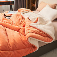 Manta de felpa de cordero grueso de doble capa, forro polar de felpa a cuadros para cama, sofá, manta de lana de Coral suave y cálida, mantas de invierno - details 7