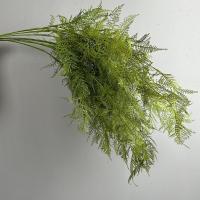 Ramas de plantas de helecho artificiales grandes, tacto Real, hojas de helecho de Boston hechas a mano, helecho de espárragos Artificial elegante realista - details 9