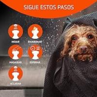 pasos