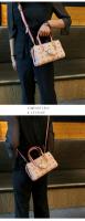 Bolso Tote Impreso de Nicho Elegante de la Marca de Hong Kong2025Nuevo Estilo Bolso de Mano de Alta Gama Bolso de Hombro Cruzado - details 7