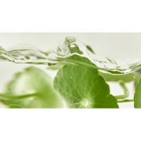 Centella asiatica extract