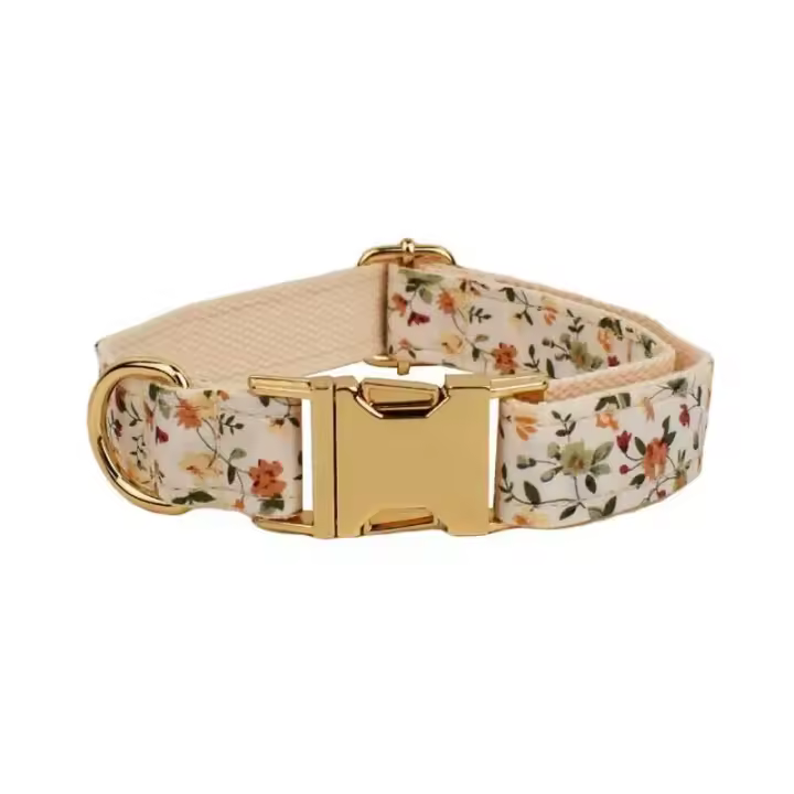 Conjunto Correa Perro, Collar con nombre personalizado Perros Pequeños y medianos, Placa Identificación personalizada, arnés - 1