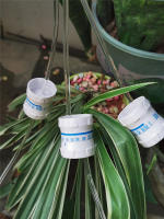 Bolsa de riego por goteo automático, gotero de riego de plantas ajustable, dispositivo de autorriego, jardinería perezosa, 3L/3,5l/6L - details 20