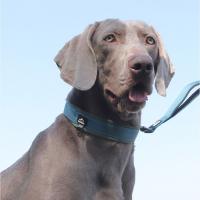 Collar de perro reflectante con correas elásticas, Collar ajustable sin tirones para mascotas para perros medianos y grandes, hebilla de liberación rápida resistente - details 5