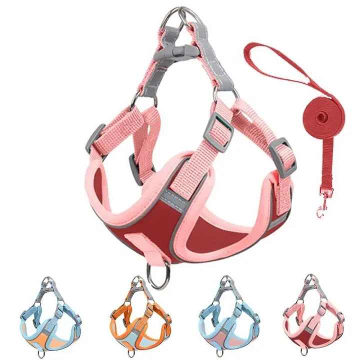 Correa de Pets Transpirable para Perros y Gatos - 1