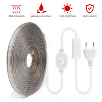 GAHADA Tira de LED Flexible 220V 60LEDs/m Iluminación y Decoración Impermeable con Enchufe de Interruptor EU - details 0