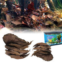 Hojas de olivo naturales de 50 piezas, mejora la calidad del agua y la estabilización, adecuadas para decoraciones de acuario - details 4