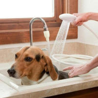 Ducha Universal para Mascotas Deslizable, Portátil, Atornillo de Grifo de Baño para Perros, Camiones, Aseo de Mascotas - details 2