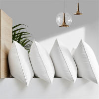 Elegante Almohada de Pluma de Ganso 100% Antibacteriana Ideal para Hotel de Cinco Estrellas - details 3