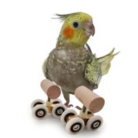 Juguetes de Entrenamiento para Pájaros 6Pcs Anillo de Empilhaje Mini Carro de Compras Patinetas Bola de Campana Mesa de Tricks para Pájaros Material de Madera Dangerous Goods Normales Producto Universal para Interior - details 10