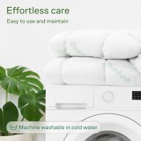 Colchón de Bambú Impreso Suave y Cómodo Espuma de Memoria de Alta Resiliencia Material Ecológico - details 26