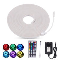 Tira de Luz LED RGB de Neón Control Remoto con Fuente de Alimentación 12V SMD3535 96LEDs/m Impermeable Cambio de Color Signo de Neón Lámpara de Cuerda XUNATA Hecho en China - details 0