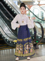 Hanfu para niñas, estilo chino, disfraz Tang para niños con cara de caballo estilo Ming, falda de hada, primavera y otoño, antiguo para niñas - details 5