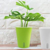 Contenedor de cultivo de plástico automático con orificio de drenaje, vivero de riego automático ETA, bonsái hortícola, 4 tamaños - details 1