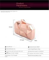 Bag Women 's Cube Metal Handbook Evening Pack Fashion swallow Chain hombro Banquet dress Pack - details 6