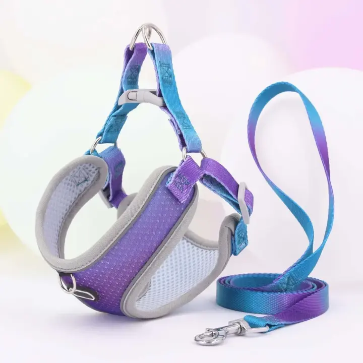 Juego de arneses y correa reflectantes ajustables para mascotas, perros pequeños y medianos, arnés de paso con Material suave - 1