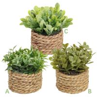 Plantas artificiales de Eulyptus, material de pila de hierba tejida de 11cm, decoración del hogar - details 10