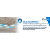 CeraVe Crema de noche renovadora de la piel, niacinamida, complejo de péptidos e hidratante de ácido hialurónico para el rostro, 1,7 onzas, embalaje - details 2