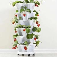 ETA de plástico de flores apilable vertical, soporte para plántulas de fresa, éter vegetal, decoración de jardín ETA de tres pétalos, 1 pieza. - details 1