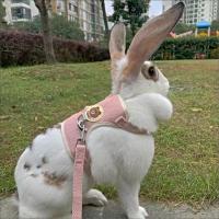 Conjunto de Arneses y Correa para Conejo Accesorios de Mascotas al Aire Libre - details 5