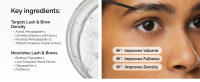 Multi_Peptide_Lash_and_Brow_DESKTOP_02