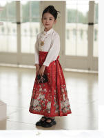 Falda Ma Mian Hanfu conjunto mejorado estilo chino antigua dinastía Ming disfraz Tang verano para niños - details 11