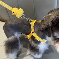 Arnés de nailon para perro con dibujos de pato, hebilla ajustable, cuerda transpirable para perro con pato amarillo, cuerda de tracción desmontable a prueba de Escape - details 11