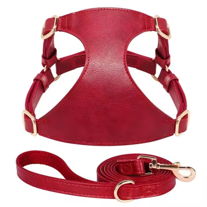 Correa de Tiro de Cuero PU para Perros Conjunto de Correa de Pecho para Gatos, Longitud de 5 Pies, Chaleco para Caminar - 1