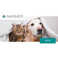 navaris mascotas perros y gatos