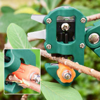 Tijeras de poda para jardín kit de herramientas para frutas verdes y árboles Orchard Green mejoradas para granjas y podas - details 1