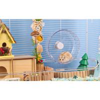 hamster wheel