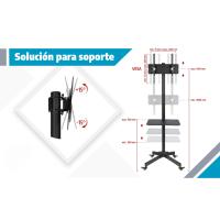 falco_24_3_ES