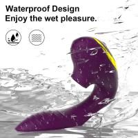 Leten-vibrador de succión vaginal de 10 velocidades, succionador vibratorio, succión Oral, estimulador de clítoris, juguete sexual erótico para bienestar Sexual - details 6