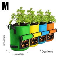 Bolsa de jardín para cultivo de verduras, asa para contenedor de patatas, cubo para plantar con ventana para cosecha de taro, 4 piezas - details 4
