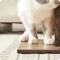 FEANDREA Tiragrañas para gatos, 73 cm, rascador de sisal, marrón rústico - details 3