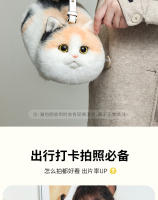 Simulación animal muñeca tres flores juguete de felpa gato bolso de hombro bolso muñeca muñeca - details 3