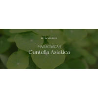 SKIN1004 Suero facial en ampolla de Centella asiática de Madagascar 3.38 fl.oz(100ml) - details 6