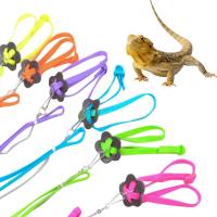 Correa de Entrenamiento Ajustable para Reptiles Correa de Paseo para Mascotas - details 12