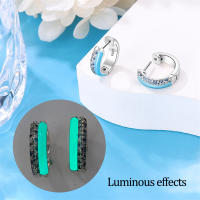 Aretes Redondos de Plata 925 Estilo Elegante para Mujeres con Piedra Principal de Zirconio y Diseño de Encanto Brillante Color en Oro - details 48