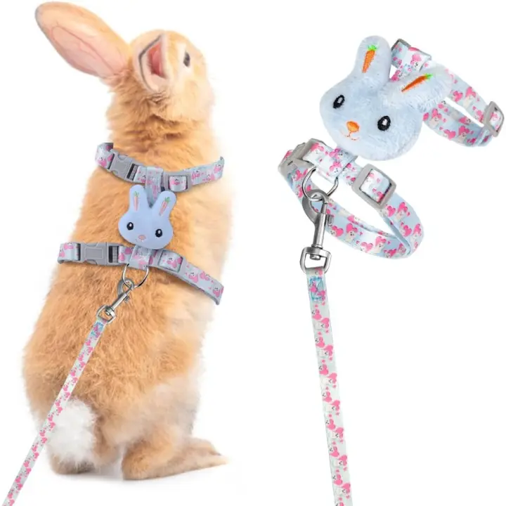 Correa Ajustable para Conejos Pequeños Collar Antidesvío para Gatos - 1