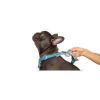 arnés para perros