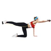 Banda De Resistencia Con Manijas 5 Niveles Ejercicio De Entrenamiento De Fitness Bandas Elásticas Para Fortalecimiento Muscular Y Acondicionamiento Corporal - details 7